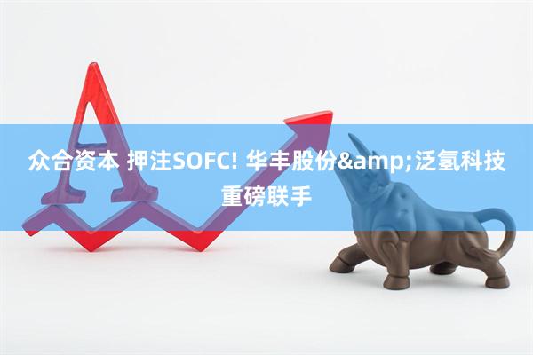 众合资本 押注SOFC! 华丰股份&泛氢科技重磅联手