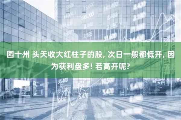 园十州 头天收大红柱子的股, 次日一般都低开, 因为获利盘多! 若高开呢?