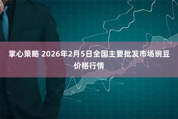 掌心策略 2026年2月5日全国主要批发市场豌豆价格行情